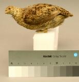 Click for more details.